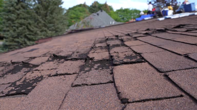 Best Gutter Installation and Repair  in North Chicago, IL